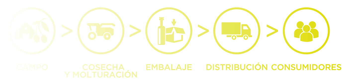 TRAZABILIDAD TRAZABILIDAD
